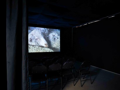 Laura Ferro, Black wool, exhibition view. Courtesy of Larivière Foundation