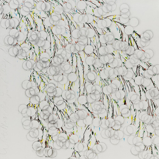 Donald Sultan, White mimosa june 6 2024 (detail), 2024. Courtesy of McClain Gallery 