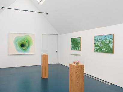 Mother Sky. Courtesy of Marianne Boesky Gallery