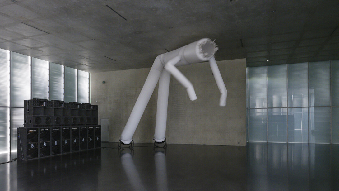 Cyprien Gaillard, When you expect flutes, it's whistles, exhibition view. Courtesy of Kunsthaus Bregenz