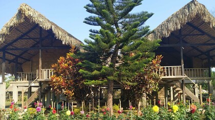 Bungalows view from the garden at Singpho Eco Lodge (Inthong), India