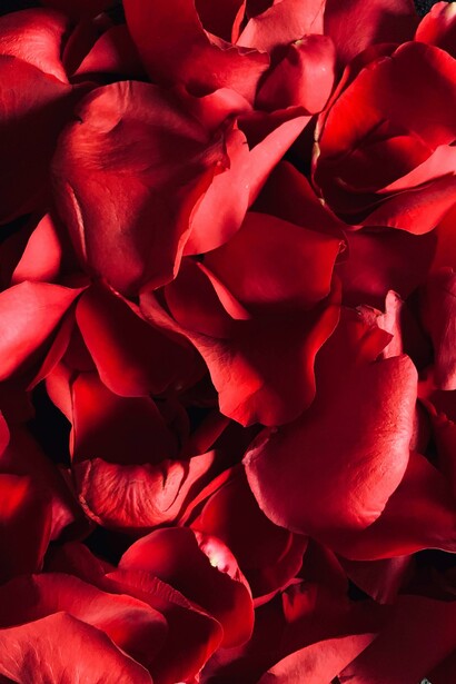 La sorpresa di un tappeto di petali di decine di rose spogliate per accogliere il passo dell’amore.