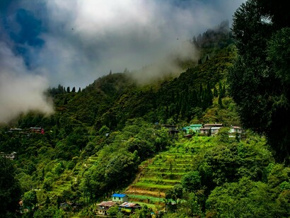 The serene village of Sonada in Darjeeling is framed by lush, green slopes, where quaint houses sit amid velvety tea gardens, offering a stunning view of the West Bengal countryside, India