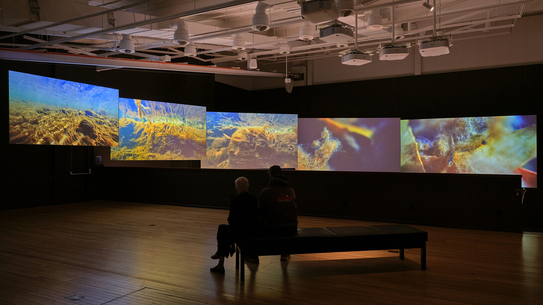 Various artists, Whiria ko te iwi tuna, exhibition view. Courtesy of Govett-Brewster Gallery