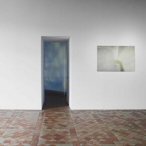 Gerda Paliušytė, You look at me, exhibition view. Courtesy of Contemporary Art Centre