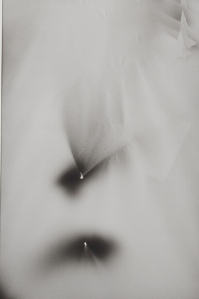 Jeff Zilm. The Musketeers of Pig Alley, 2016 (detail), Dye, silver halide, acrylic emulsion, gelatin emulsion and optical sound on canvas, 96.5 x 213.4 cm (38 x 84 in.). Courtesy of the artist and Simon Lee Gallery, London / Hong Kong 