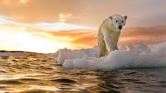 It will occur by 2026 a projected 10 degree Celsius increase in global temperatures