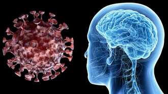 Los retrasos en la búsqueda de atención médica por accidente cerebrovascular son más perjudiciales que el impacto de la propia COVID-19