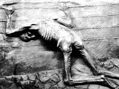 Cuerpo esquelético hallado en el campo de concentración de Mauthausen