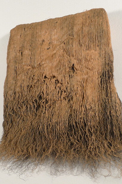 Paul Emmanuel, 2013, Oil paint and hair lacquer on, Balwen fleece, 25 x 21 x 9 cm