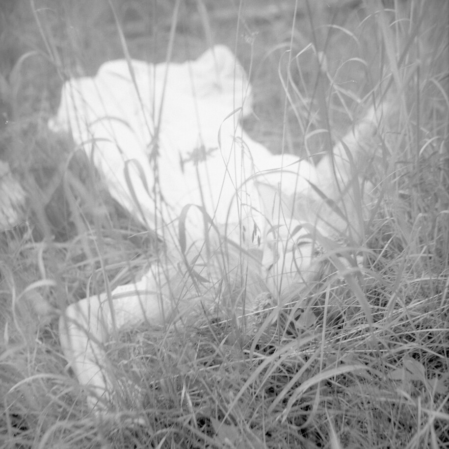 Victoria Goldman, Death, 2014, Giclee Print