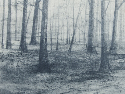 VICARI MARIKA, As I Walk, 2015, Grafite su tavola, 20x20 cm