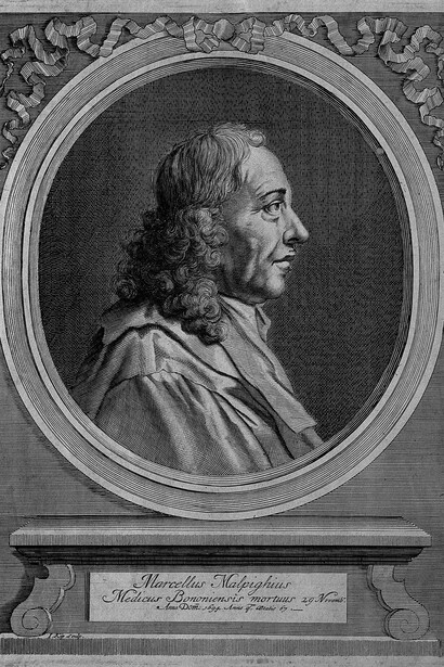 Grabado con la efigie de Marcello Malpighi