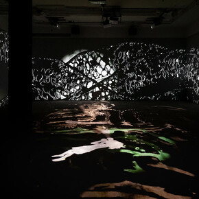 Hammer projects. Lap-See Lam, exhibition view. Courtesy of Hammer Museum