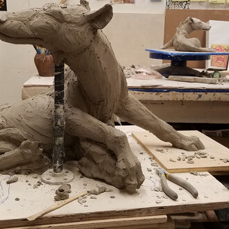 Wondrous Creatures. Courtesy of Florida Museum of Natural History