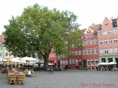 Nice square in Copenhage