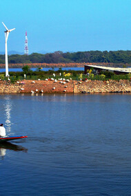 Sukhna Lake