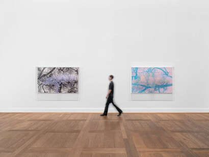 Charles Gaines, Ciphering african acacias and supreme court decisions, exhibition view. Courtesy of Hauser & Wirth Gallery