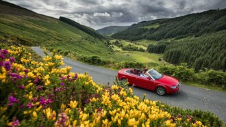 Trips can be quite an adventure 