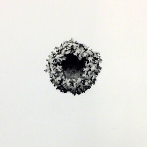 Small. Courtesy of Purdy Hicks