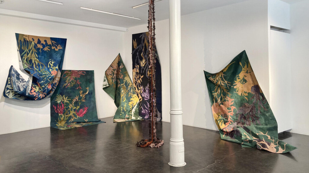 Françoise Vanneraud, Lo que aún florece, vista de exhibición. Cortesía de la Galería Ponce+Robles