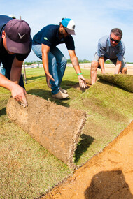 Río 2016. Instalando o grama do campo de golfe
