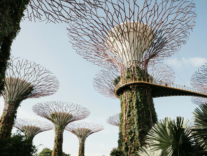 Supertree Grove at Gardens by the Bay in Singapore