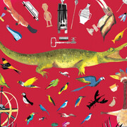 Into the Wonder Room. Courtesy of Pointe-à-Callière