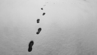 Los pasos de Robert Walser antes de su muerte