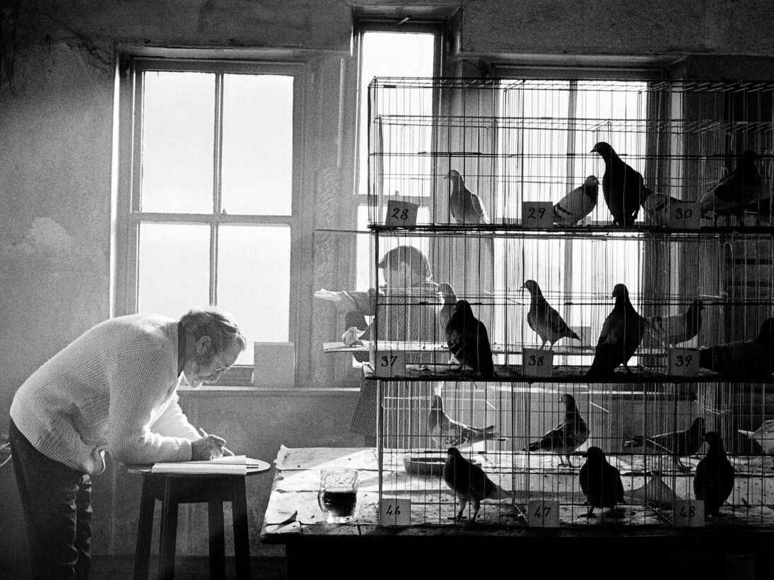 Martin Parr, Pigeon competition, The Rope and Anchor pub, Todmorden, 1975 © Martin Parr/Magnum Photos
