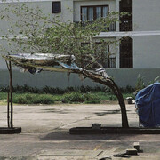 Gina Folly. Courtesy of Kunsthaus Baselland