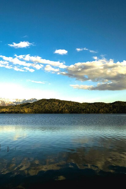 Rara lake, Nepal, is also surrounded by dense forests of pine, spruce, and juniper, which provide habitat for a variety of wildlife