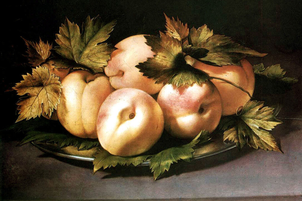 Ambrogio Figino, Piatto con pesche, olio su tavola, 21 x 30 cm, collezione privata