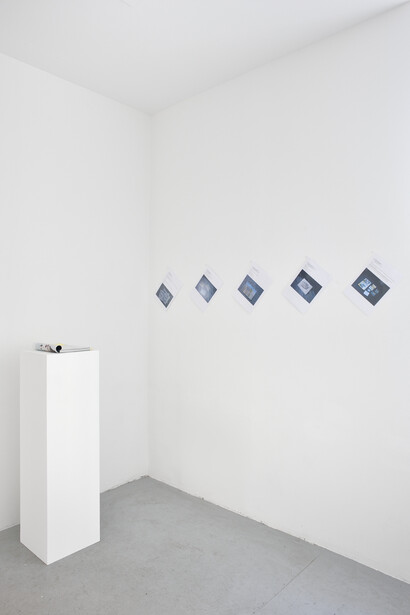 View of the exhibition "Scars of our Revolution", Galerie Yvon Lambert, Paris, June 6 - July 24, 2014