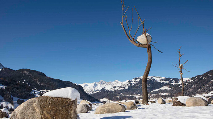 Giuseppe Penone. Courtesy of  Galerie Gagosian