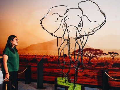 The Mind’s Eye. Courtesy of Science Centre