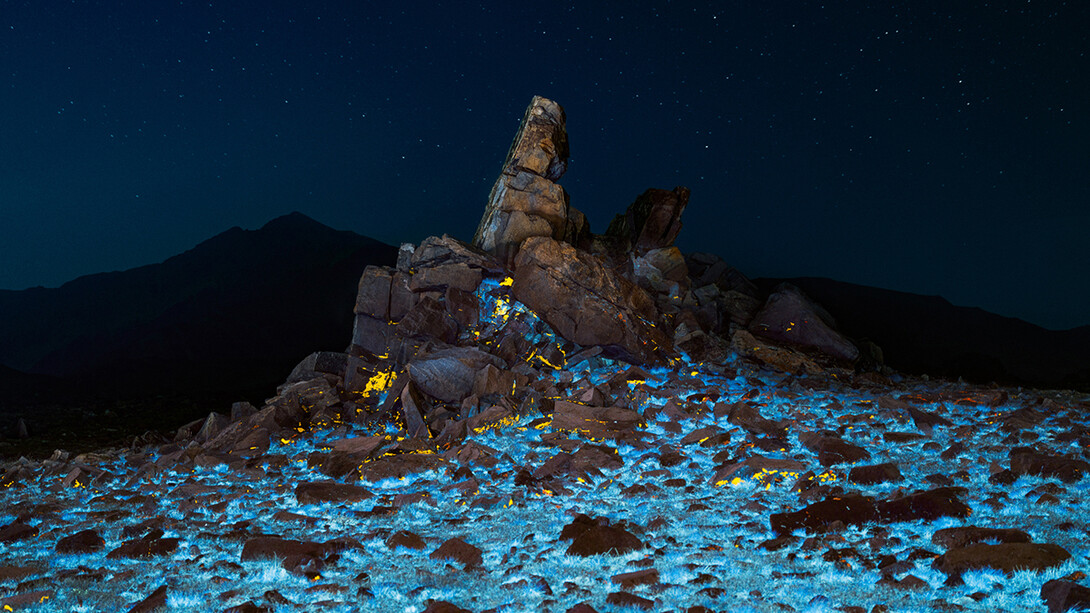 Cody Cobb, CC1480 (detail). Archival pigment print. Framed in white with plexiglass. Courtesy of the artist and Foster/White Gallery