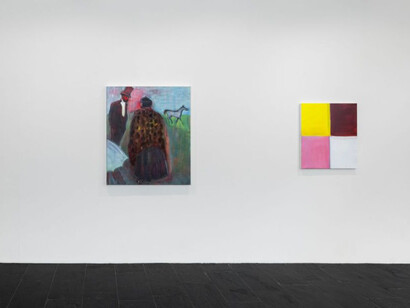 Rosalind Nashashibi, Tender horse, exhibition view. Courtesy of Galerie Urs Meile