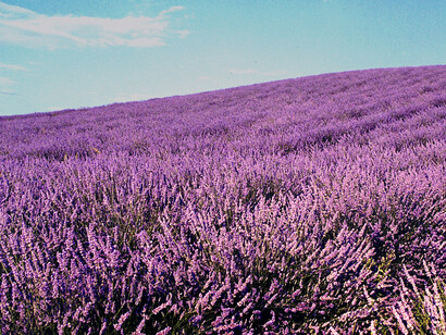 Ce qui est spécifique de la physique mathématique, c’est l'existence de plusieurs entités mathématiquement constituées