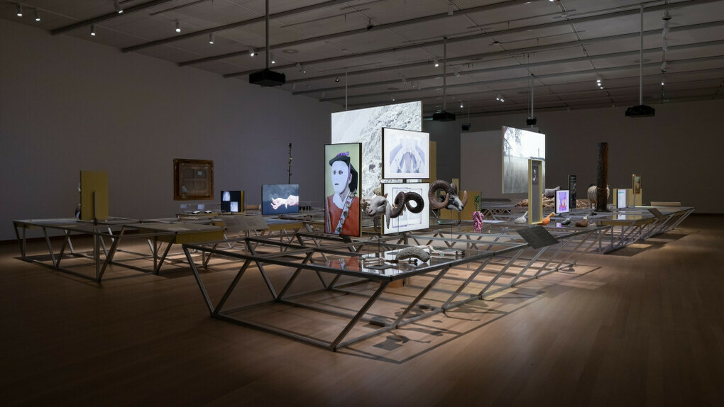 Formafantasma, Oltre terra, exhibition view. Courtesy of Stedelijk Museum