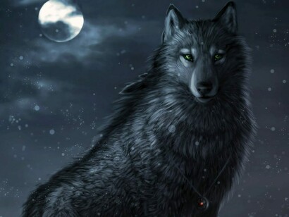 Lobo em uma noite de lua cheia