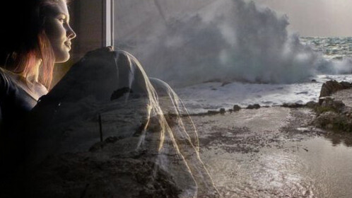 Uno sguardo sulla società