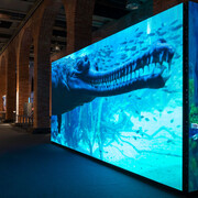 Somos agua, vista de la exposición, Fundación Canal, Madrid. Courtesy of Fundación Canal