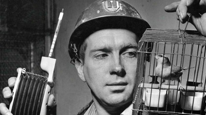 A caged canary about to sacrifice his existence for the sake of Americans