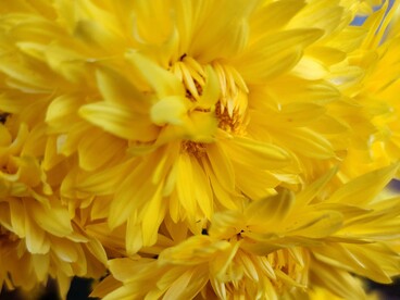 In alcuni stati come Tamil Nadu o Andhra Pradesh, le disuguaglianze sociali si manifestano soprattutto tra città sviluppate e villaggi agricoli più isolati