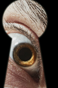 Le voyeur