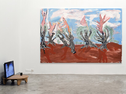 Lola Montes Schnabel. Texting Spirits, 2016. Installation View