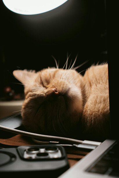 A ginger cat sleeping peacefully on a desk beside a laptop and electronic devices, illuminated by warm, dramatic lighting