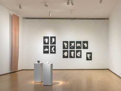 Anna Talens y Mar Guerrero, Territorios en tránsito/Solo dúo, vista de exhibición. Cortesía de IVAM