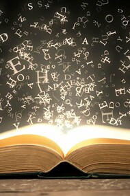 Io voglio poterli vedere, i miei libri